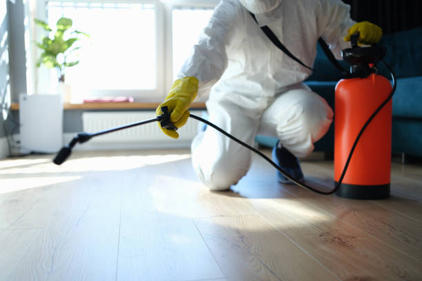 Reliable Blood Cleanup contractor in Ivanhoe, CA by Trauma Clean Pros
